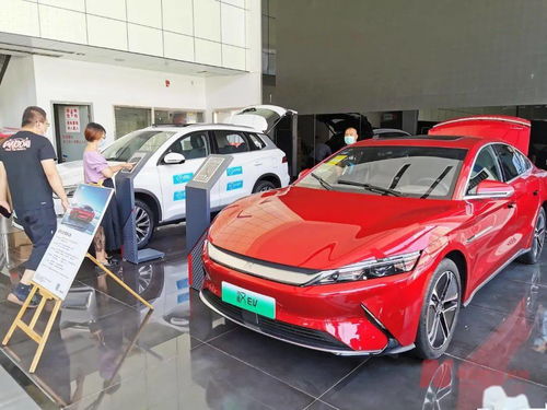 新能源車補(bǔ)貼退坡調(diào)查 市場(chǎng)終端火爆，車企策略分化，今年銷量劍指600萬(wàn)輛